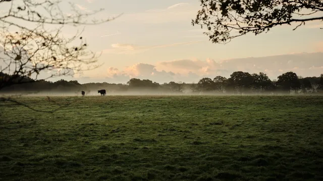 Green Farm: Day Spa, Retreats & Self Catering Barn