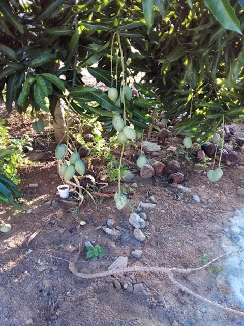 Churrascaria Carvalho