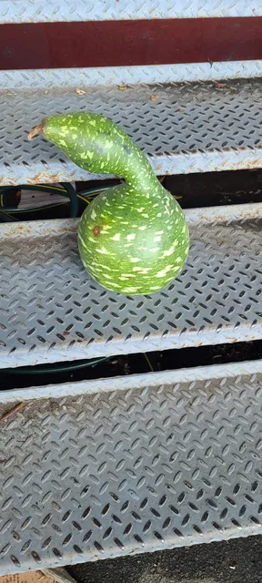 Georgia Grown Welcome Center