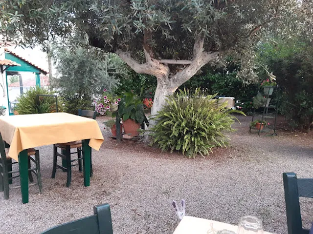 Ταβέρνα Αλοίμονος Ηλίας