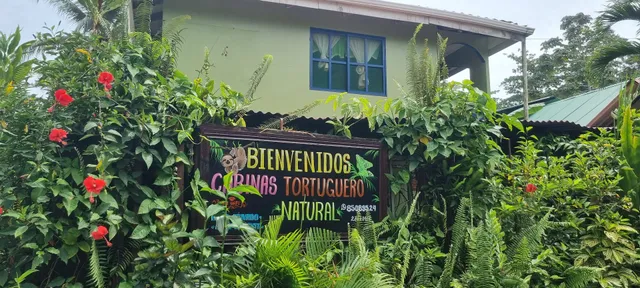 Tortuguero Natural B&B