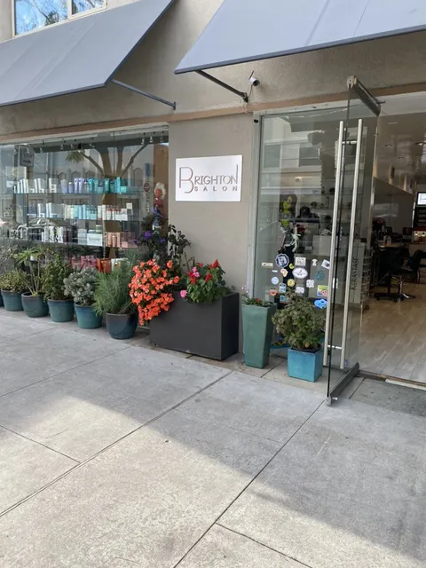 Brighton Salon Beverly Hills