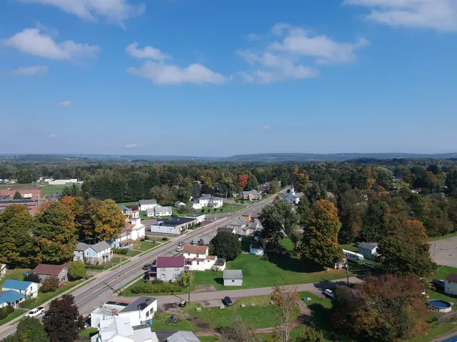 Peterson Auction & Realty LLC