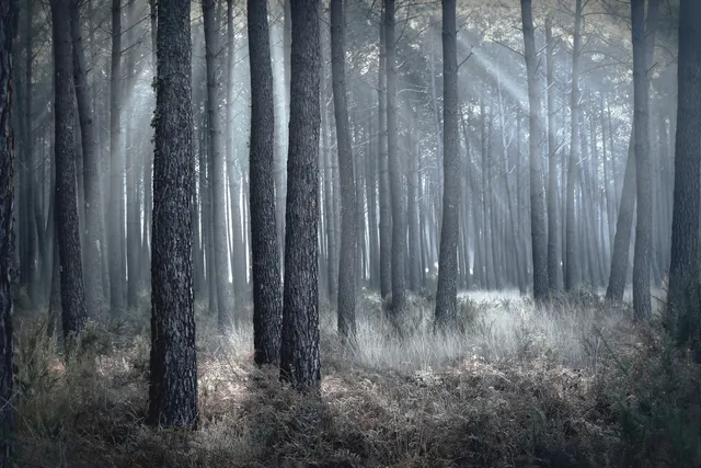 INSIDE - Escape game