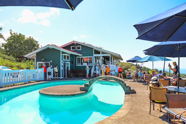 Heavenly Hawaiian Kona Coffee Farm Tours