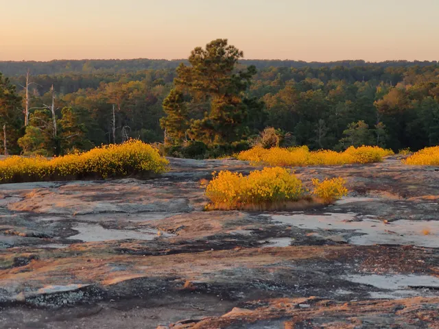 Arabia Mountain Trailhead