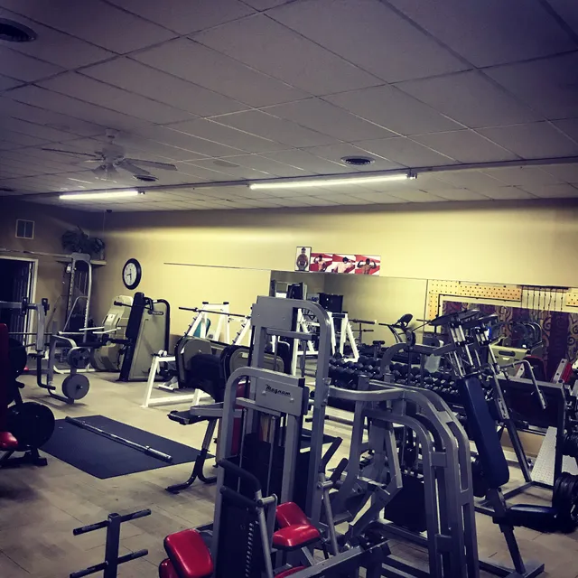 Warrior Elite Fitness