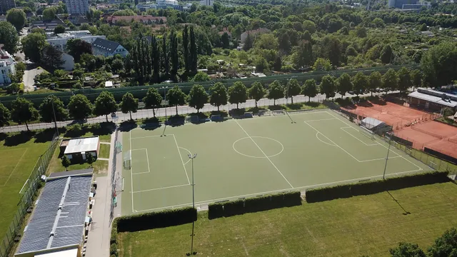 SV Blau-Gelb Frankfurt e. V.