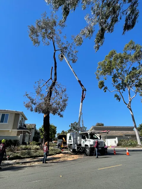 3-D Tree Services Inc.