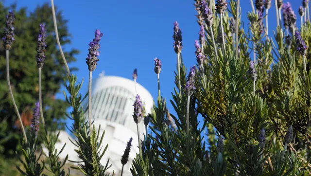 Matsudayama Herb Garden