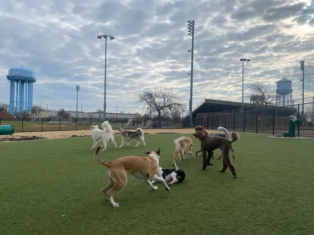 Tully Dog Park