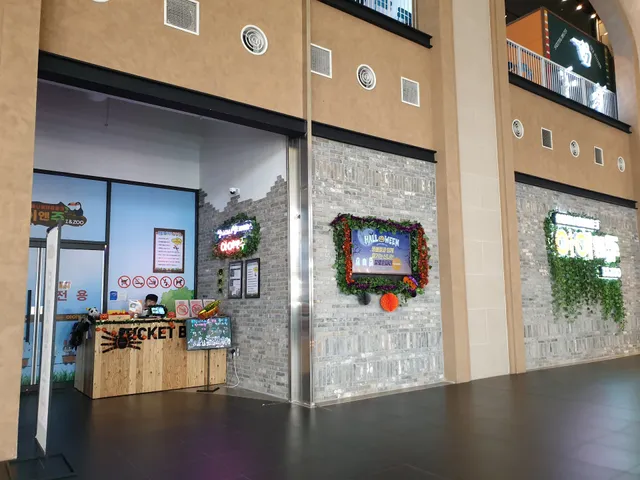 photo-1