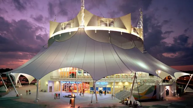 Cirque du Soleil Store