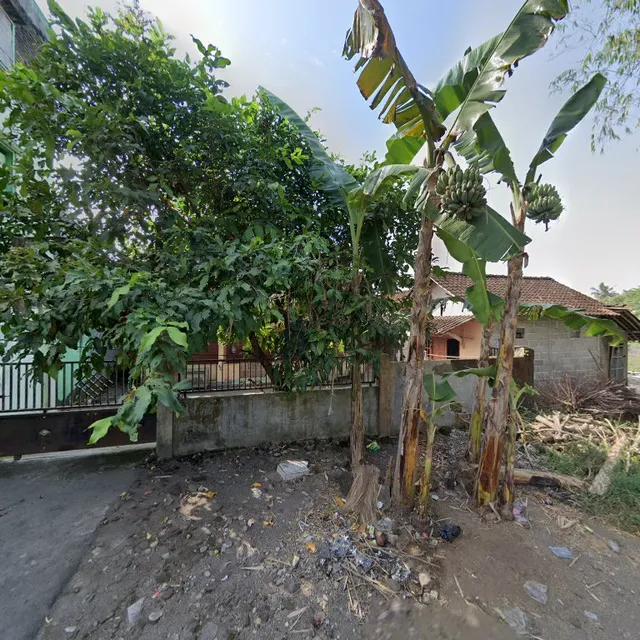 kost putri putra/putri