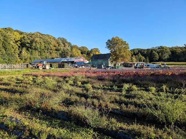 Westchester Greenhouses & Farm