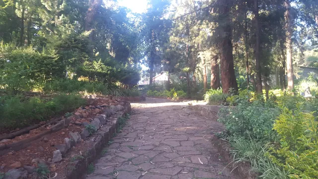 Afencho Ber Park | Afencho Ber | አፍንጮ በር ፓርክ | አፍንጮ በር