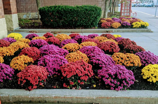 Prairie Towne Center