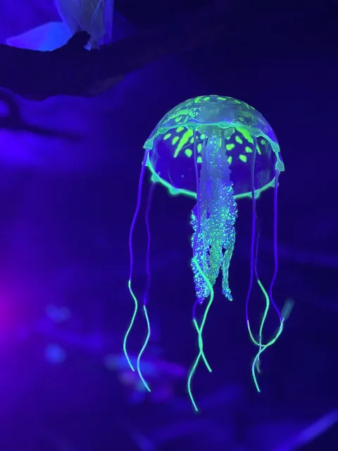 Tayny Morskikh Glubin