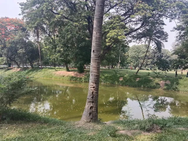 গাব তলা, রমনা পার্ক/Ghab tola,Ramna park