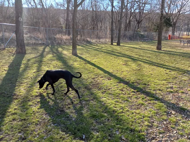 Bella Vista K9 Corral Dog Park