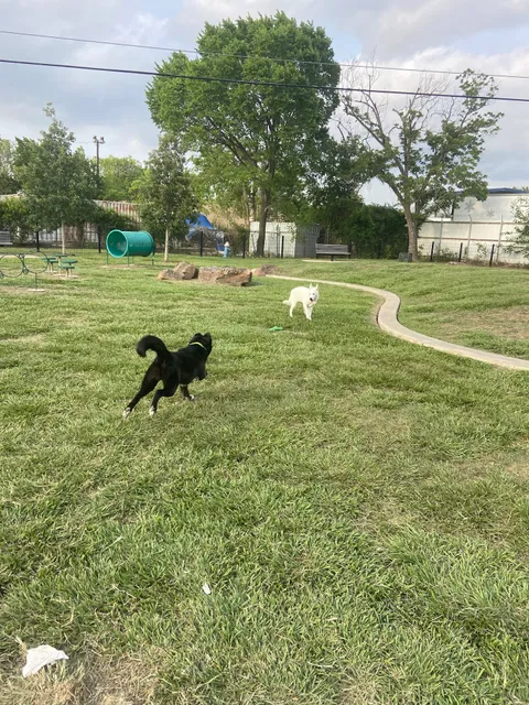 Jody Miller Dog Park