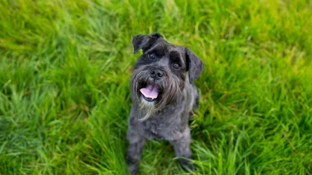 Baxter Veterinary Clinic