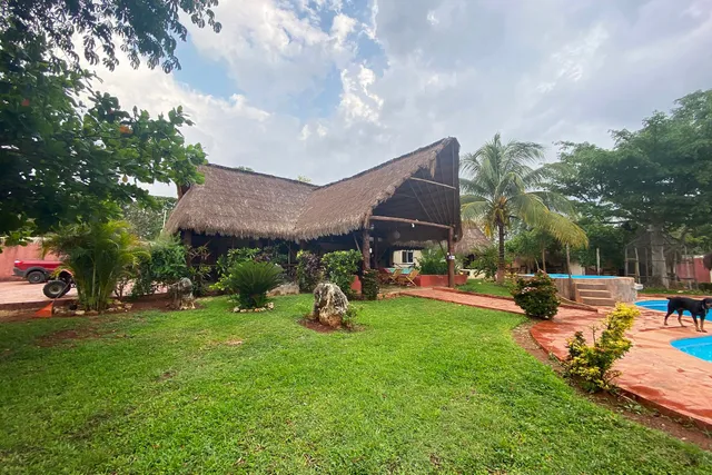 Hotel Mangrove King Fishing