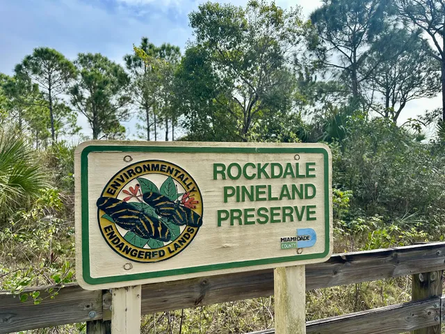 Rockdale Pineland Preserve