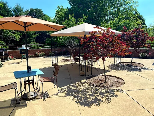 Weeping Willow Tea Room