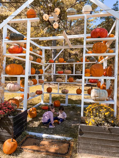 Living Hope Pumpkin Patch