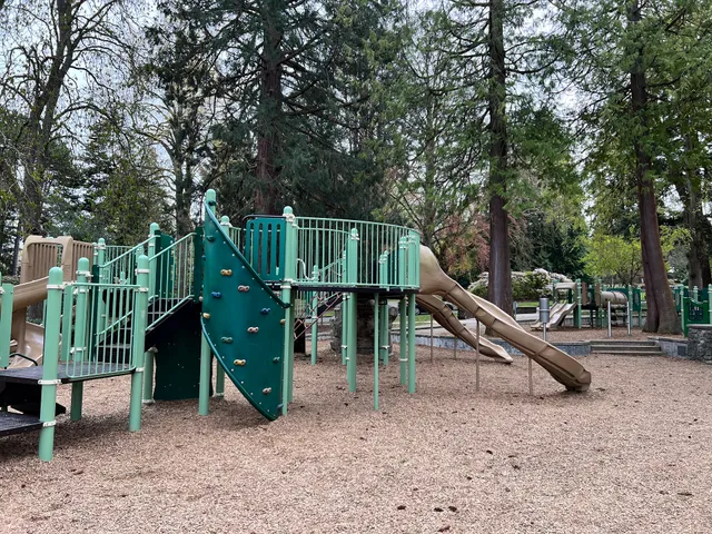 Volunteer Park Playground