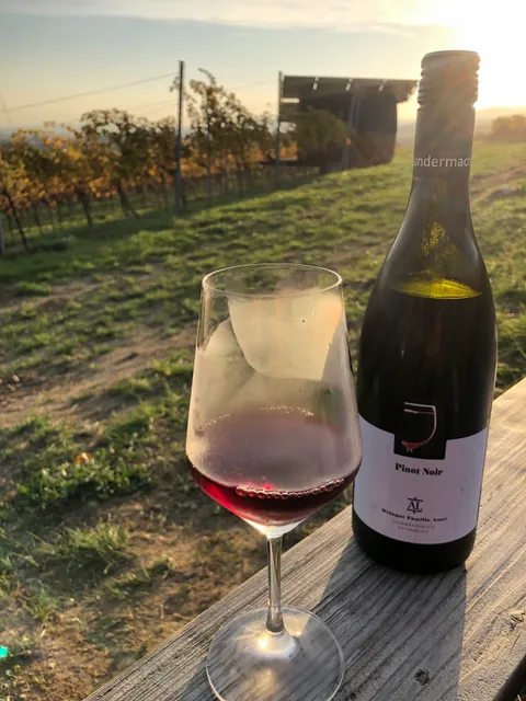 Auer´s Bio-Weinautomat - Pfaffstätten