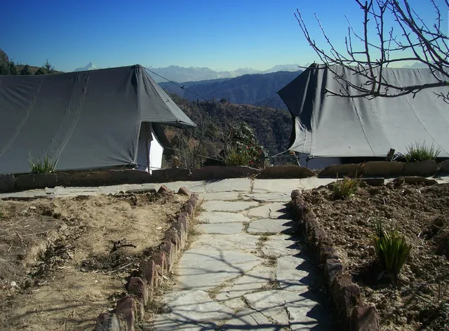 Camp Purple - Wildrift Adventures