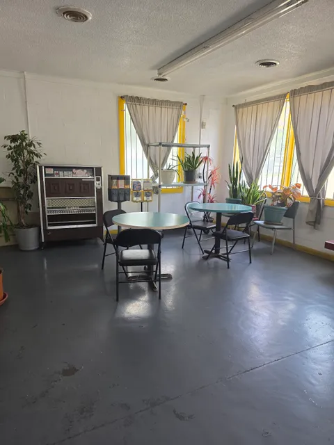 Honey Fried Chicken Chinese