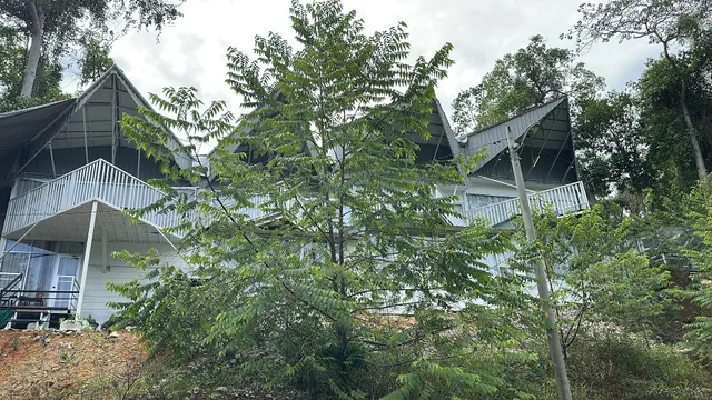 Woodcookies Guesthouse