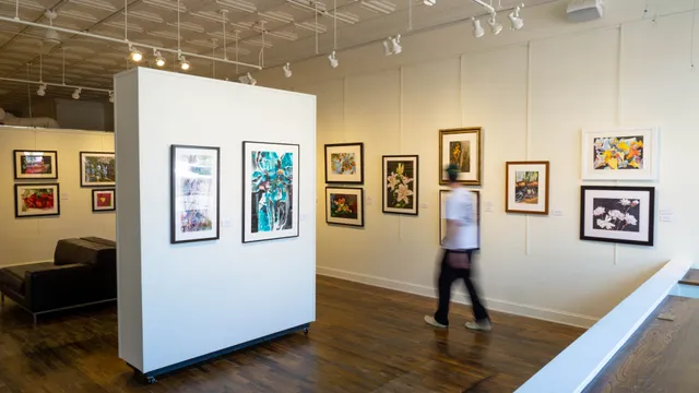 AVA-Association for Visual Arts