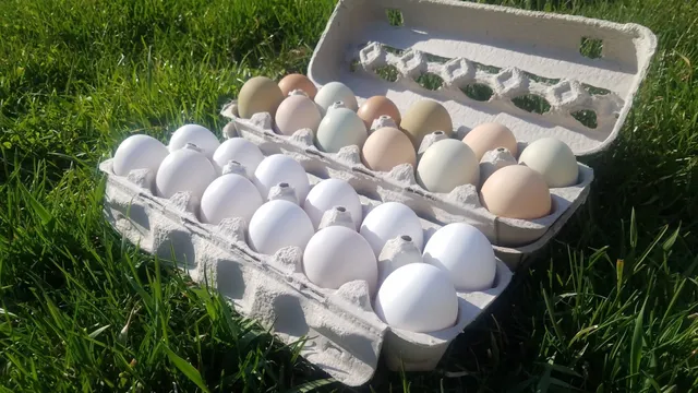 Grandma's Farm Fresh Eggs - Ogle Family Farm