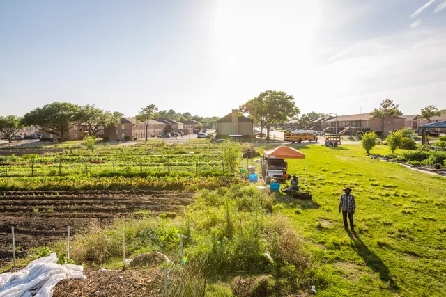 Plant It Forward Farms @ Westbury Community Garden
