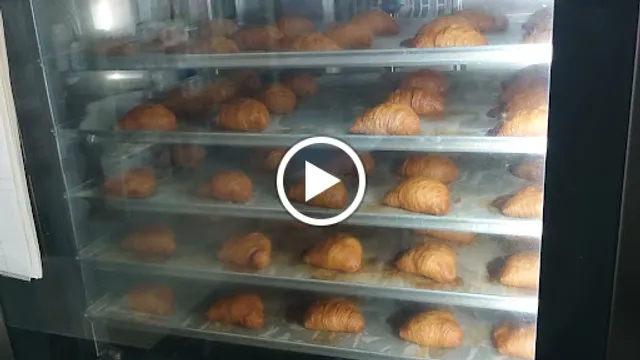 delfino ドルフィーノ