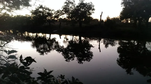 Texas Cruise Company