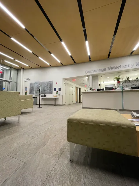 Cummings School of Veterinary Medicine at Tufts University