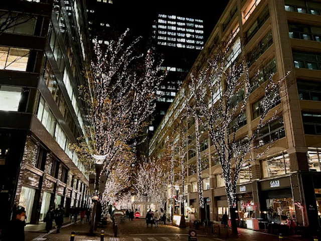 Marunouchi Naka-dori Building