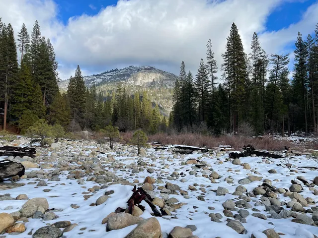 Camp Chilnualna Cabins in Yosemite