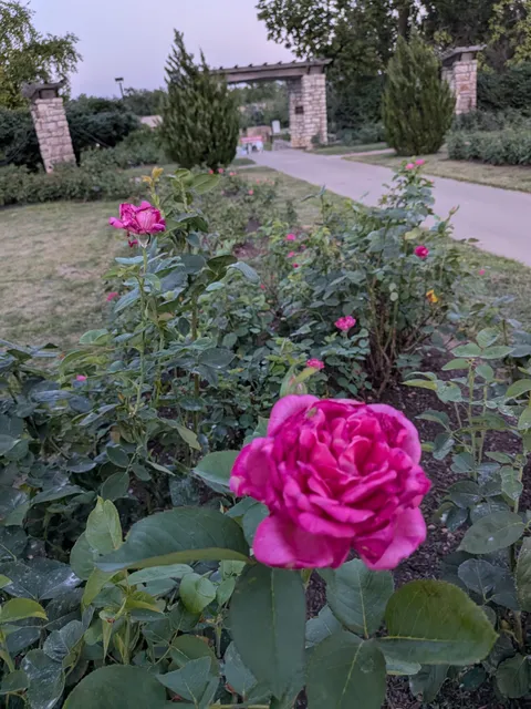 Laura Conyers Smith Municipal Rose Garden