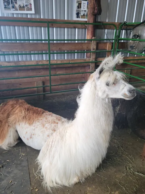 Pierce County Fairgrounds