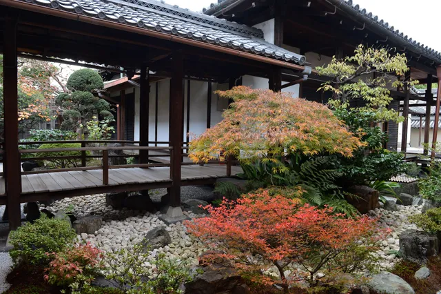 Kanchi-in Kyakuden (Reception Hall)