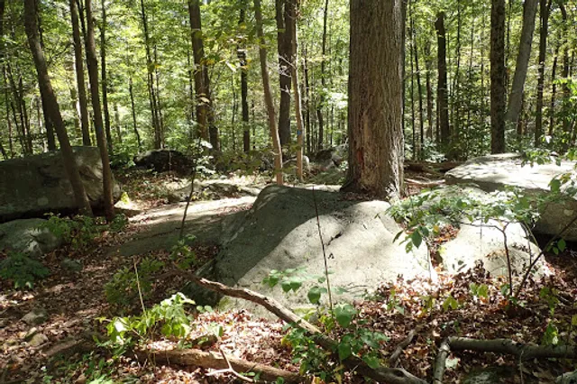 Hunterdon County Sourland Mountain Preserve