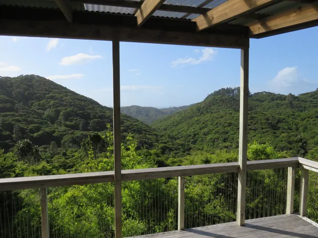 The Treehouse Coromandel