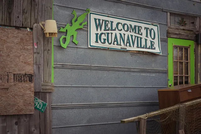 The Green Iguana Grill