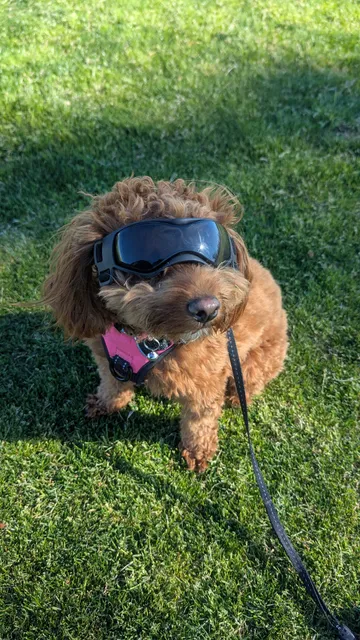 Orange Terrace Park Playground
